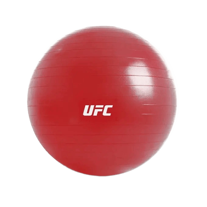 UFC FITBALL - 65CM